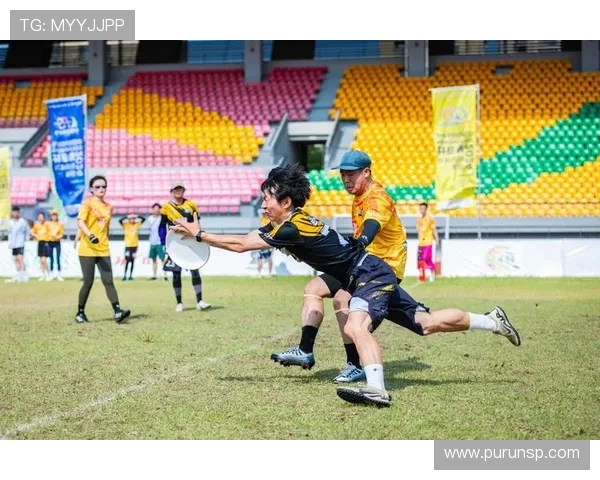 上海飞盘队与南京飞盘队赛后分析实力对比与战术探讨