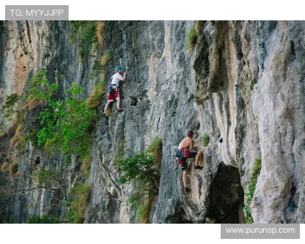 南京攀岩队的整体压制现象及其对攀岩热点的影响分析